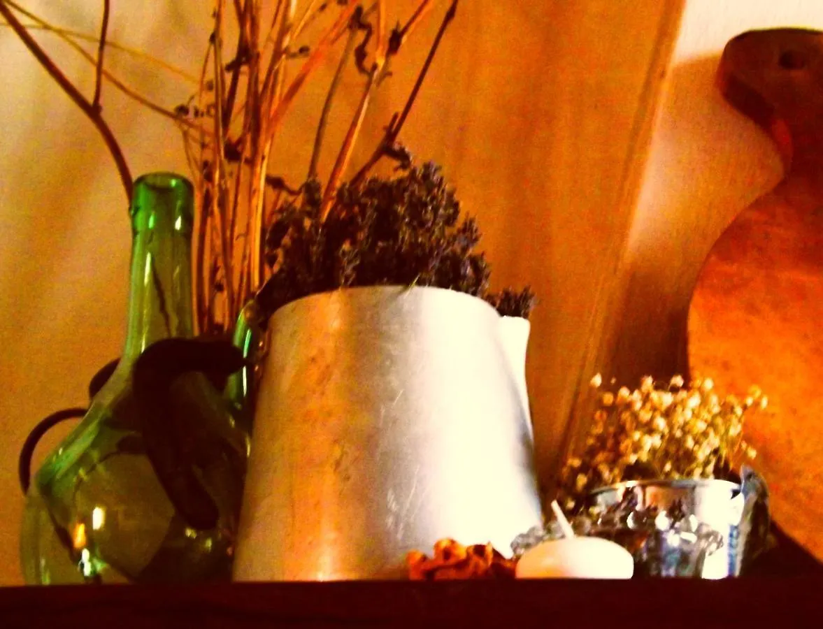 Bed&Breakfast Le Civette San Damiano al Colle Italia