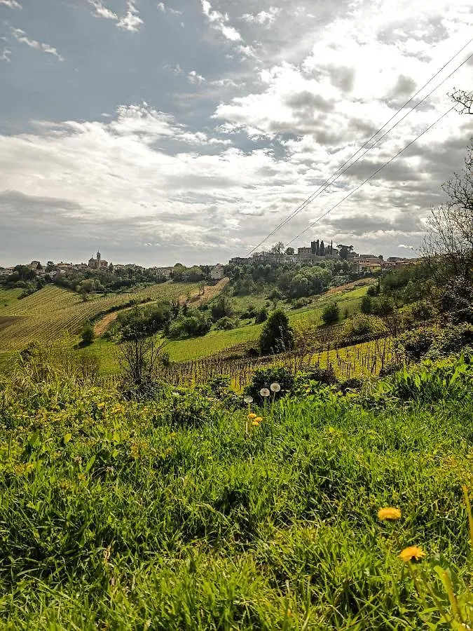 Bed&Breakfast Le Civette San Damiano al Colle Bed & Breakfast
