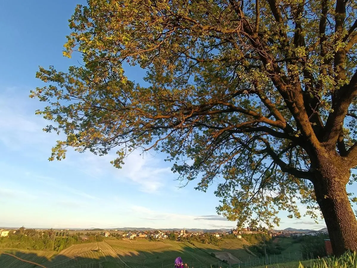 Bed & Breakfast Bed&Breakfast Le Civette San Damiano al Colle